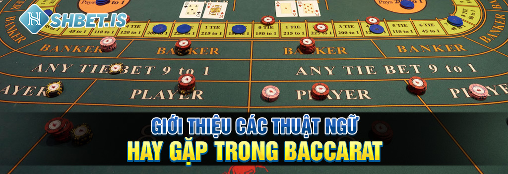Bài Baccarat Là Gì Mà Khiến Cộng Đồng Game Thủ 2024 Điên Đảo 2 Gioi thieu cac thuat ngu hay gap trong Baccarat