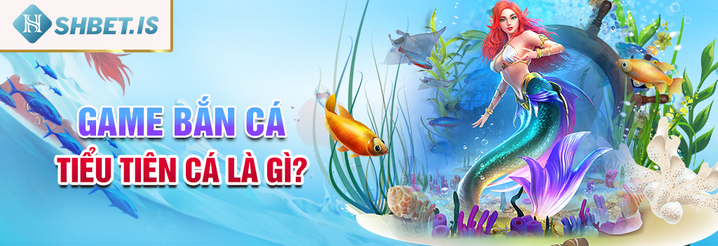 Game bắn cá tiểu tiên cá là gì?