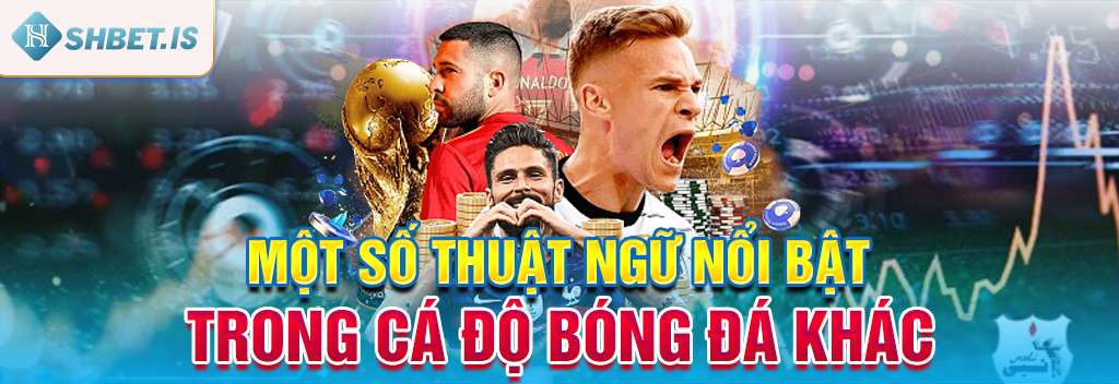 Một số thuật ngữ nổi bật trong cá độ bóng đá khác