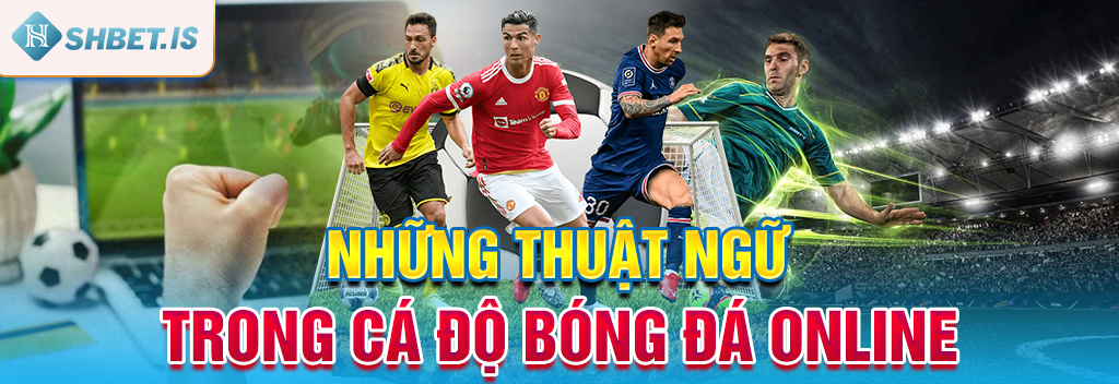Những thuật ngữ cá độ bóng đá  online